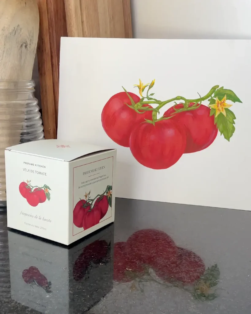 Ilustración botánica para packaging velas Prefumo tomates e higos